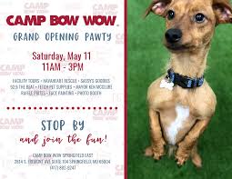 Phone dont take your pet here to get groomed. Grand Opening Pawty