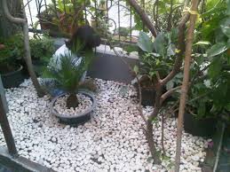 Kamu juga bisa memiliki taman mungil dengan mengandalkan pot gantung dan cara bercocok tanam. Taman Mungil Di Depan Rumah Ayunda Damai