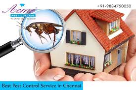 All of our administrations are furnished with principal care to family units and the environs. Best Pest Control Service In Chennai By Padmapriya01 Medium
