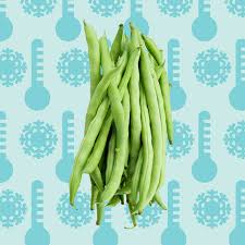 The reason for the question, is running out of freezer space this time of year. How To Freeze Green Beans How To Blanch Green Beans For Freezing