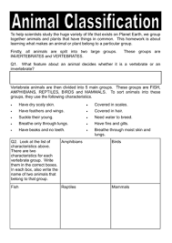 Vertebrate Invertebrate Classification Worksheet Vertebrates And Invertebrates Animal Classification Animal Classification Worksheet