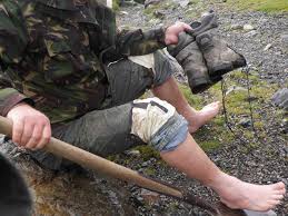 Dr Phil Harding And Lorraine Mepham At Live Dig In Salisbury Museum |  Salisbury Journal