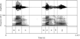 When camels move in huge numbers called caravan. Saraiki Journal Of The International Phonetic Association Cambridge Core