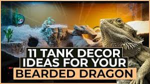 It's easy to clean and bacteria resistant and may just form the centerpiece of your bearded dragon tank decor. Bearded Dragon Tank Decor Top 11 Ideas Youtube