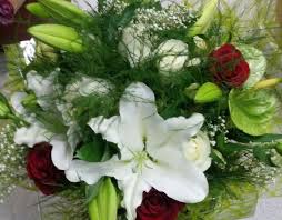 Check spelling or type a new query. Envio Flores Los Cristianos Floristeria Los Cristianos