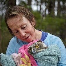 Higher Ground Raptor Centre