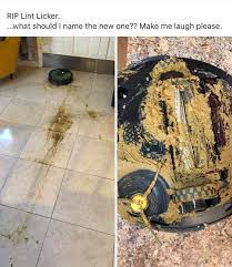 Wondering if a roomba is right for you and your pets? 18 People Who Are Having A Way Way Way Worse Day Than You