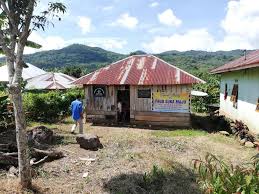 Anda yang mengalami penyumbatan darah, baik karena penyempitan darah maupun penyumbatan, disarankan mengonsumsi rebusan daun ini secara rutin. Gambar Pokok Dukung Anak Merah