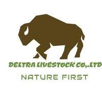 Beautiful brahman bull for sale. Deltra Livestock Co Ltd Kimberley 2021