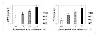 Stress is one of the body's hormonal responses, and it's more prevalent in women than men. Effects Of Water Stress On The Growth Physiology And Biochemical Properties Of Oil Palm Seedlings