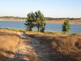 Search and compare hotels near barragem de montargil with skyscanner hotels. Barragem De Montargil 2021 All You Need To Know Before You Go With Photos Tripadvisor