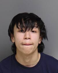 Gang hunter' arraigned in murder of 12-year-old