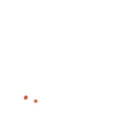 Image result for Raphidiocystis phyllocalyx