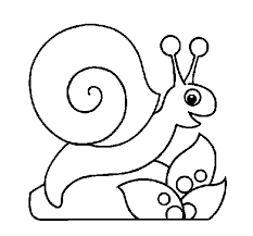 Desenho De Caracol Para Colorir Colorir Com