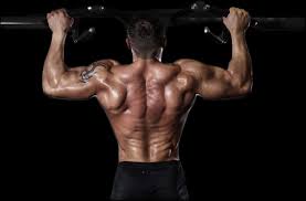 Bonjour je suis une jeune femme de 28 ans. Conseils Et Exercices Pour Muscler Le Dos