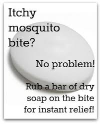 Bug Bites That Look Like Mosquito Bites But Aren T Pin On Well Aren T You Clever
