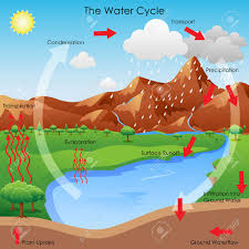 Vector Illustration Of Diagram Showing Water Cycle