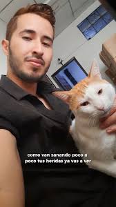 Recuerdos del 2020 con mi gato Steven