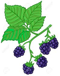 Cartoon Blackberry