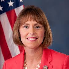 Estos son los resultados de las elecciones en la Bahía de Tampa 2023