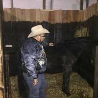 Harold Dotson Obituary