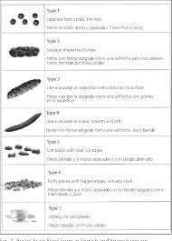 Pdf Adaptation And Validation Of The Bristol Scale Stool