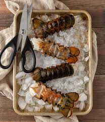 These lobsters are cooked and ready to take out of pot. Boiled Lobster Tails With Garlic Lemon Butter Basil And Bubbly