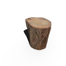 Free 3d Model Scanning Trunk 3d Model Model Trunks