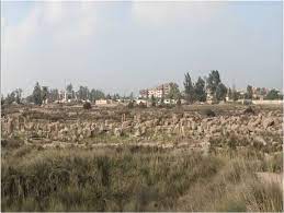 كنوز التاريخ قديمه وحديثه صور حضارة تل بسطة history outdoor farmland