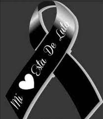 We did not find results for: Pin En Imagenes De Monos De Luto