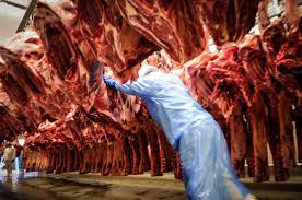 Brasil atingiu quase 80% da cota de exportação de carne bovina à China