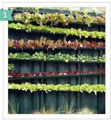 Angie S List Potager Vertical Jardinage Idees De Jardinage