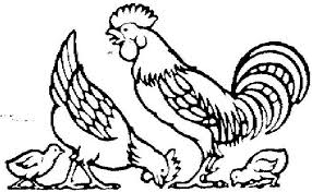 Hal ini kerana kecantikan kanak kanak ini setanding dengan. 100 Gambar Ayam Lukisan Paling Hist Gambar Pixabay