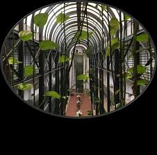 Memoria de actividades