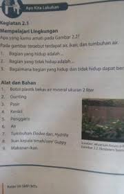 Untuk melengkapi keterampilan mengenai sel jaringan dan organ kamu diminta untuk melakukan eksplorasi terhadap terhadap 3 hal tersebut. Tolong Dijawab Ya Hanya 1 3gk Usah Prakteknyabuku Buku Paket Ipa Kelas 7 Semester 2 Halaman 30 Brainly Co Id
