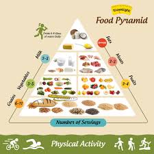 food pyramid 5 building steps of a food pyramid you should