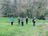 Women's Wild Walk – Summer Solstice