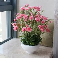 Check spelling or type a new query. 17 Flowers That Look Like Roses Balcony Garden Web