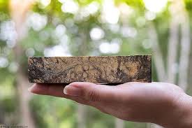 Any ideas on how to get green dye or cactuses without creative? How To Stabilize Wood A Guide On Stabilizing Wood