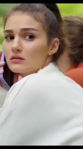 Steve Foreman (@steveforeman13)