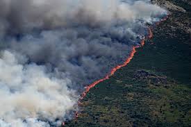 Bangkok Post - Spain declares national emergency over wildfires near Madrid  and in Avila