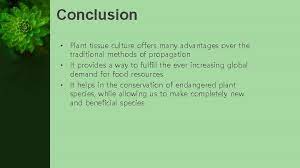 We did not find results for: Applications Of Plant Tissue Culture Group Members Safina