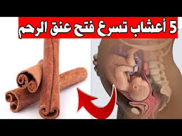 الشهر الخامس من الحمل والجماع عالم حواء. Ù…Ø´Ø±ÙˆØ¨Ø§Øª Ø³Ø§Ø®Ù†Ø© ØªÙØªØ­ Ø¹Ù†Ù‚ Ø§Ù„Ø±Ø­Ù… Ø³Ø±ÙŠØ¹Ø§ Ùˆ Ø­Ø°Ø§Ø±ÙŠ Ù…Ù† Ù‡Ø°Ø§ Ø§Ù„Ù…Ø´Ø±ÙˆØ¨ Ø§Ù„Ø®Ø·ÙŠØ± Youtube
