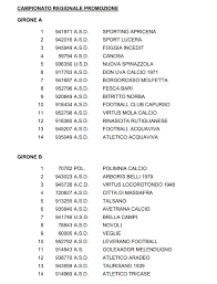 Sin dall'arrivo del girone unico, era consuetudine che l'intero turno di campionato si disputasse nel pomeriggio della domenica: Lnd Puglia Ufficializzati I Gironi Di Eccellenza E Promozione Tutto Calcio Dilettanti