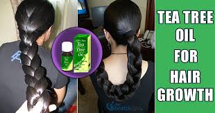 Tea tree oil is used on its own or mixed with other ingredients in so many effective home remedies it almost seems like a miracle treatment. Beauty Tips 13 Effective Ways To Use Tea Tree Oil For Rapid Hair Growth