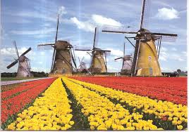 The dutch love cheese and there is no better place to sample. Niderlandi Cikavi Fakti Vidpochinok Ta Cikavi Fakti