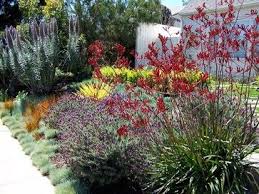 English Garden California Style Traditional Landscape Los Angeles Be Landscape Desig Traditional Landscape Succulent Landscape Design Landscape Design