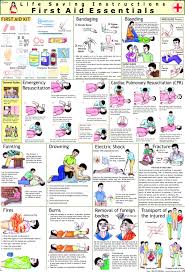 Buy First Aid Chart 70 X 100 Cm Book Online At Low