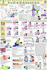 buy first aid chart 70 x 100 cm book online at low