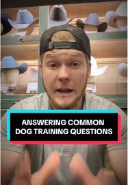 Free Dog Training Advice and Tips for Pet Owners